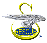 Wings_2h.gif (9903 bytes)